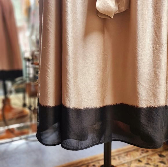 Beautiful Champagne Silk Banana Republic Dress size 10 - Picture 6 of 8